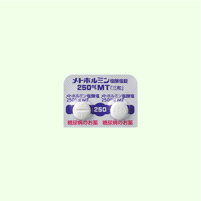 メトホルミン 3ヶ月分 【250mg】