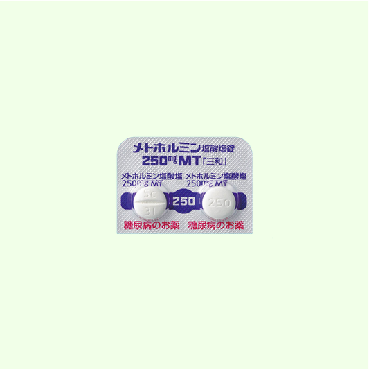 メトホルミン 3ヶ月分 【250mg】